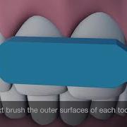 Brush Your Teeth