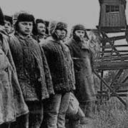Книга В Криминале Виноватых Нет