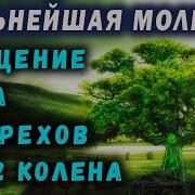 Молитва Для Очищения Рода До 12 Колена