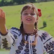 Iami Tatuca Papucei