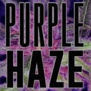 Purple Haze Prod Stepson Trap Type Beat