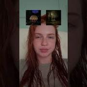 Suara Asli Template Pov Core