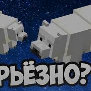 Как Приручить Белого Медведя В Майнкрафт Пе 1 4 1 6