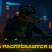 Dj Crocodildo Пусть Распускаются Цветы Где Блать Remix Всевместе