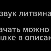 Звук Из Видео Литвина