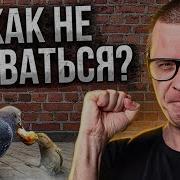 Если Руки Опущены