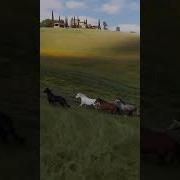 Ot Bor Uyda Baraka Bularkin