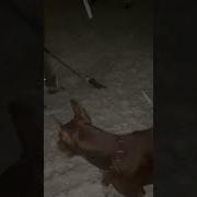 Для Гандонов Соседей