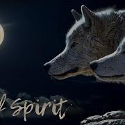 Wolf Spirit Shamanic Healing Music 432 Hz Shamanic Music Drums