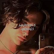 Maroon 5 Animals Sped Up Reverb Baby I M Preying On You Tonight Tiktok Version