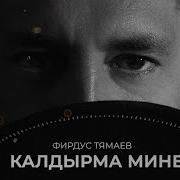 Калдырма Мине Фирдус Тямаев