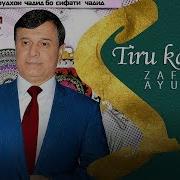 Зафар Аюби Тиру Камон Zafar Ayubi Tiru Kamon