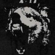 Qaad Tasama