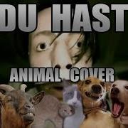 Rammstein Du Hast Animal Cover