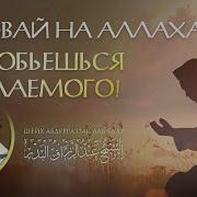 Лекции Исламских Шейхов