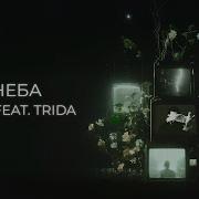 Elman S Neba