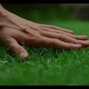 Zzeff Xd Meme Touch Grass