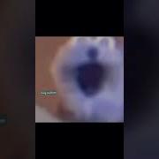 Ааа Аа Ещёёё