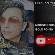 Мохсен Иброхимзоде Гули Пуне Mohsen Ebrahimzadeh Gole Poone