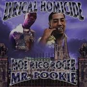 Lyrical Homicide Radio Edit