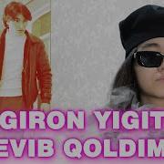 Nogiron Yigit Sevgisi