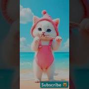 Dam Dee Dam Tiktok