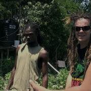 Strain Hunters Jamaica Expedition Full Length