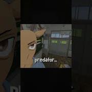 Legoshi Is Bae