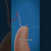 Fish Hooks Chinese